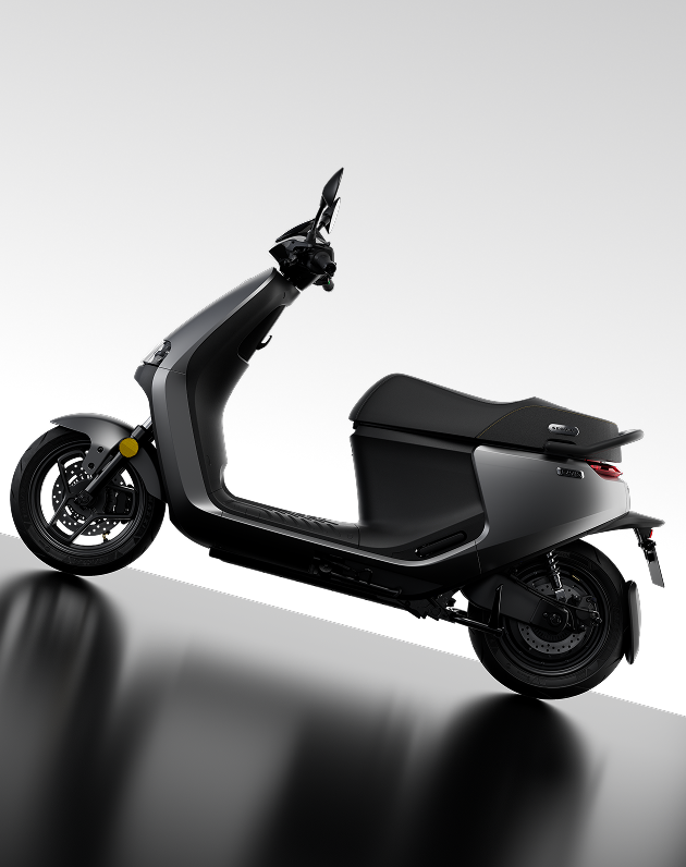 Segway E250S Matt Black Matt Silver